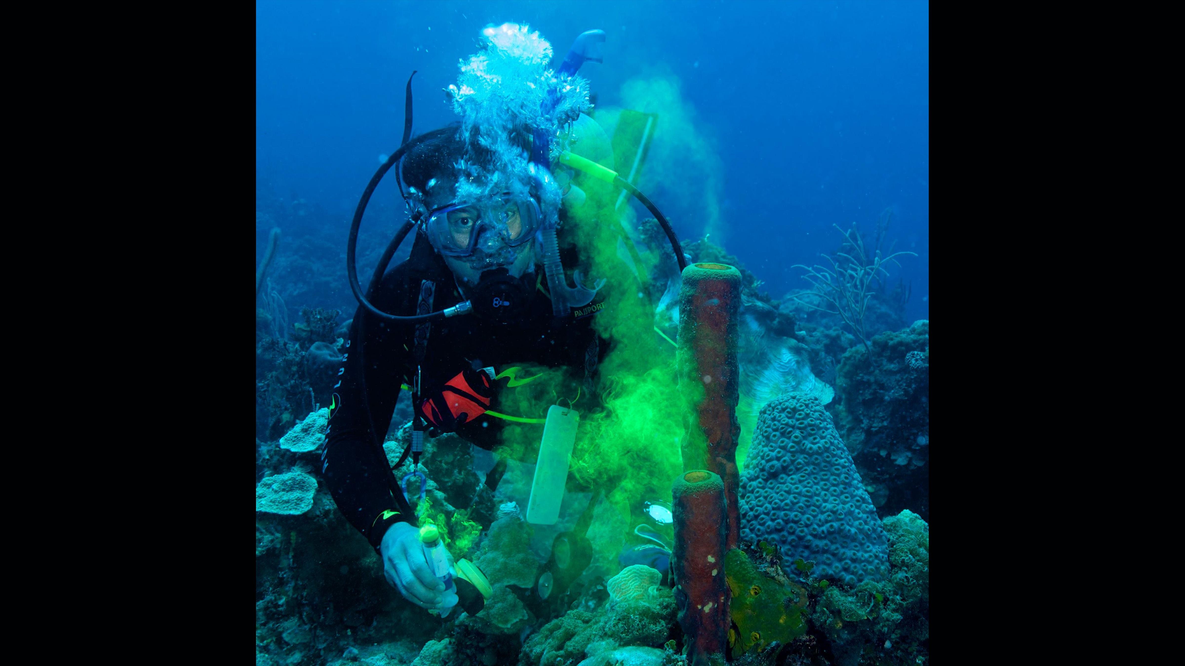 Sponges Oldest Creatures in the Sea?